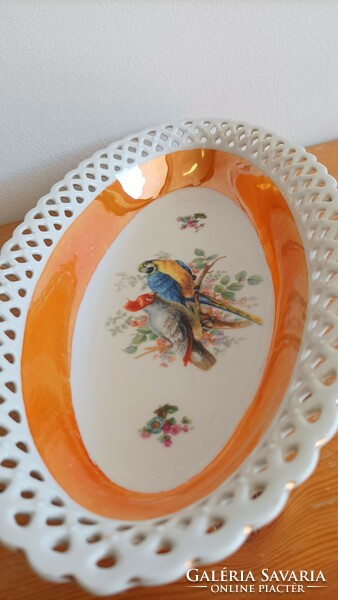 Antique or retro Bavarian Schumann Arzberg porcelain. Parrot