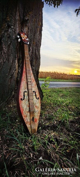 Unique (mountain) zither / dulcimer instrument