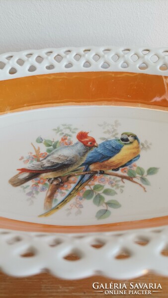 Antique or retro Bavarian Schumann Arzberg porcelain. Parrot
