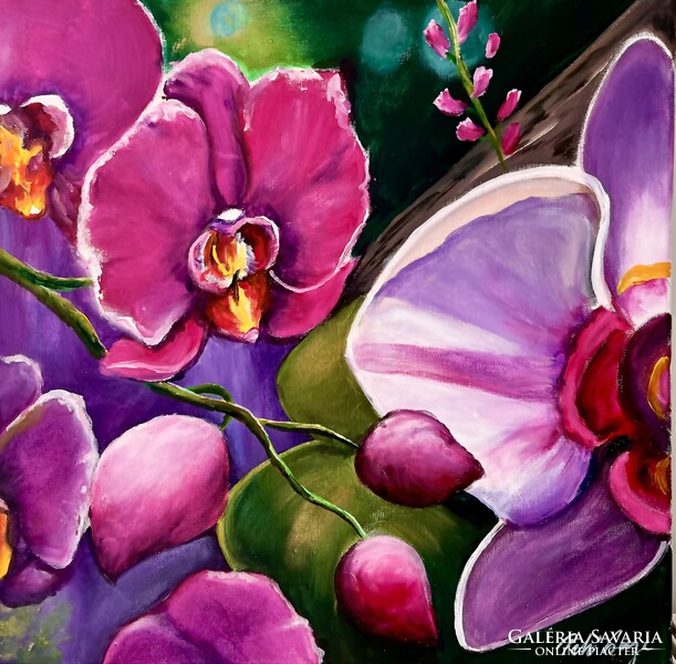 Pető Csenge++50x50 Orchideák színes orchideák