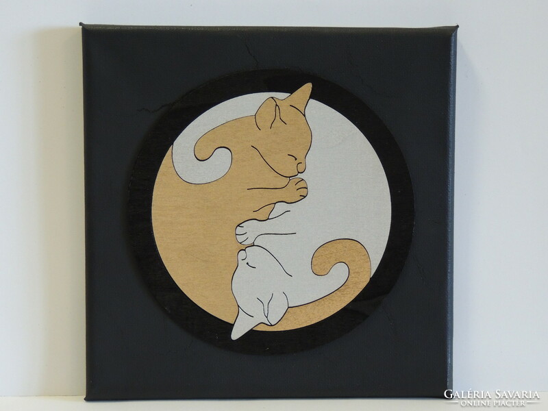 Kitten yin-yang