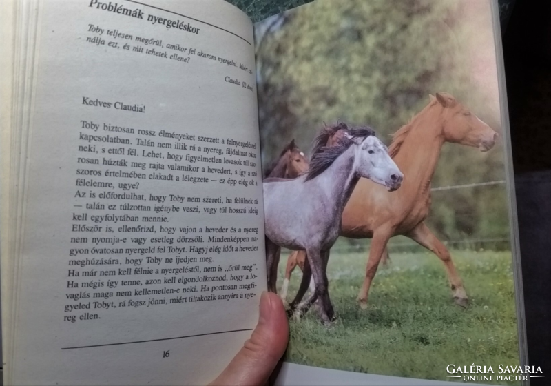 'Chris triebke: 100 questions and answers about horses > animal world > horses