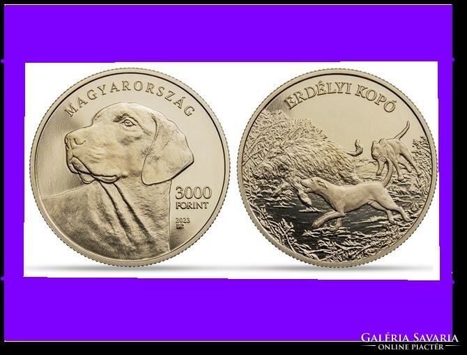 2023 Transylvanian hound 3000 ft bu non-ferrous metal commemorative coin for sale! Unc unopened capsule! Series iv. Member!