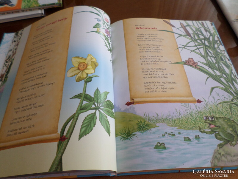 Aranyeső selection of children's poems from Hungarian literature, for children aged 3-10, 2008