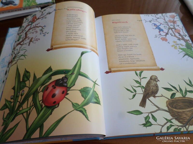 Aranyeső selection of children's poems from Hungarian literature, for children aged 3-10, 2008