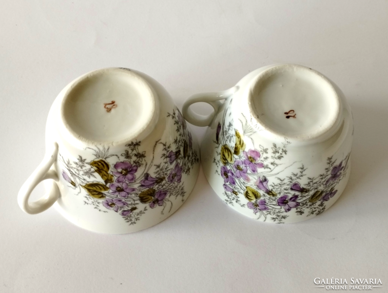 Antique hand painted tea cup with violet pattern