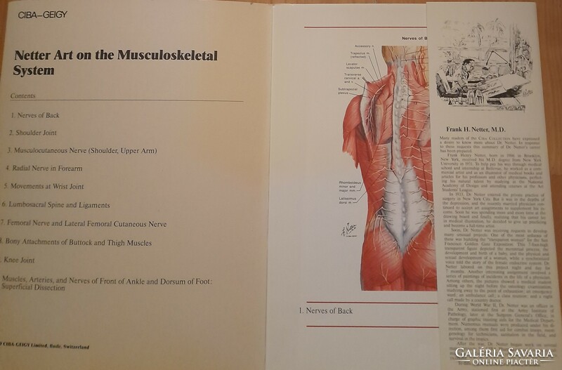 ANGOL NYELVŰ!!! The CIBA Collection of Medical Illustrations