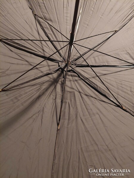 Ezüst nyelű esernyő