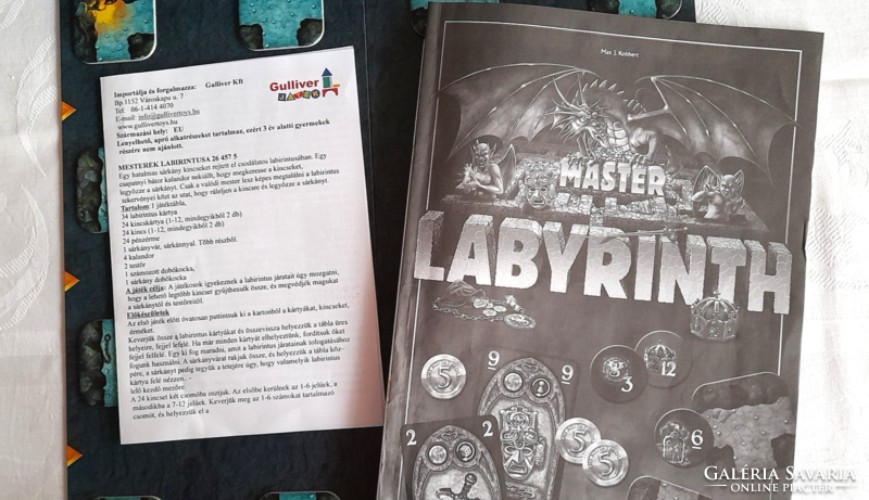 Master labyrinth board game