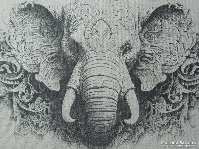Indiai elefánt hármas