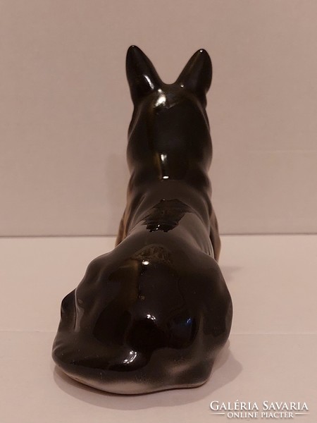 German shepherd dog, Cluj-Napoca iris porcelain.