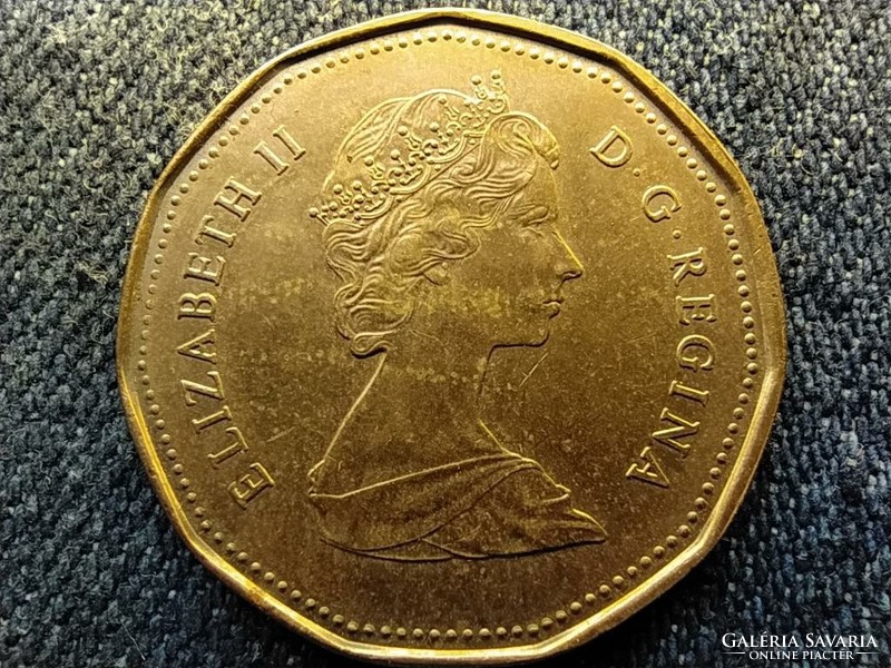 Canada ii. Elizabeth 1 dollar 1989 (id64755)
