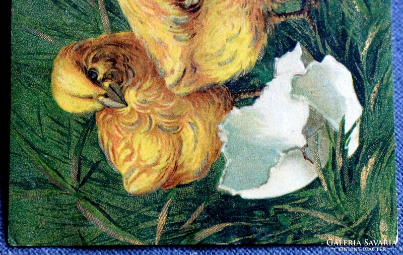 Antik arannyal préselt Húsvéti  üdvözlő képeslap csibék 1907ből