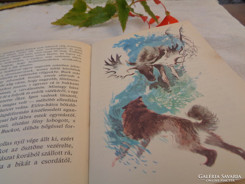 J. London's The Word of the Wild, with drawings by Cerzezan, older edition