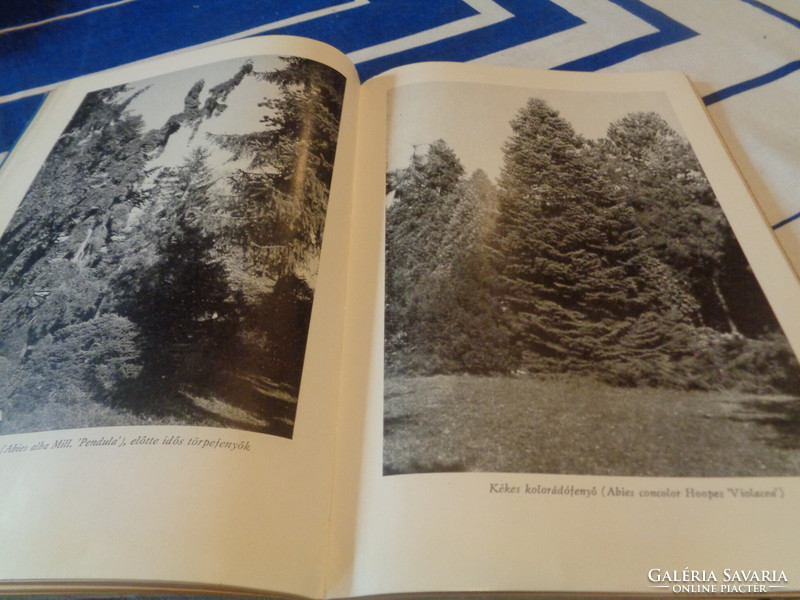 A Szarvasi Arborétum ,  Mezőg Kiadó   Bp.  1974