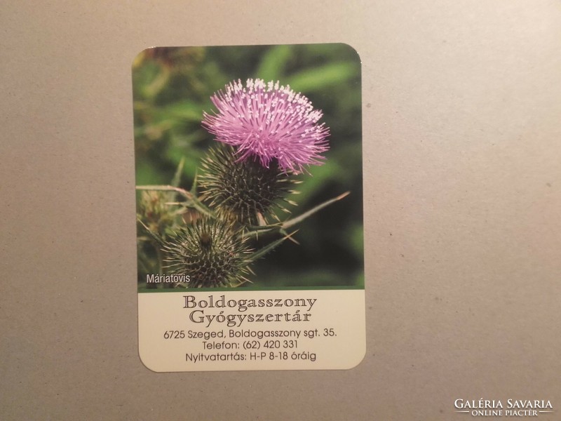 Hungary, card calendar - Szeged, boldosszony pharmacy 2021