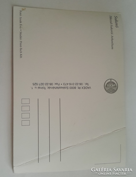 Liquidation of postcard collection (sukóro)