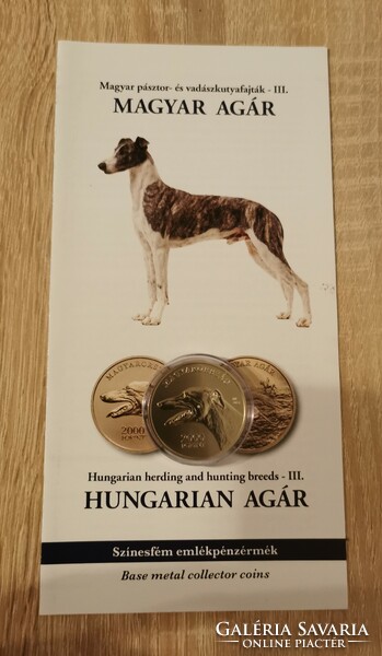 2021. Annual Hungarian greyhound non-ferrous metal commemorative coin proof like. 2000 HUF nominal value, unc quality