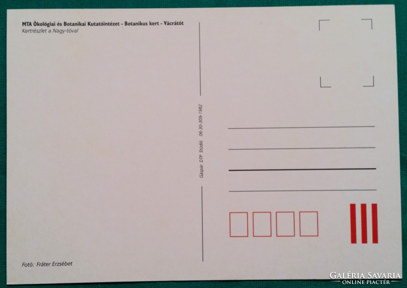 Botanikuskert, Vácrátót, Kert részlet a Nagy-tóval, postatiszta képeslap