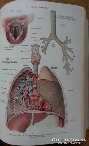 F.E. Bilz: the new natural remedy i.-Iii.