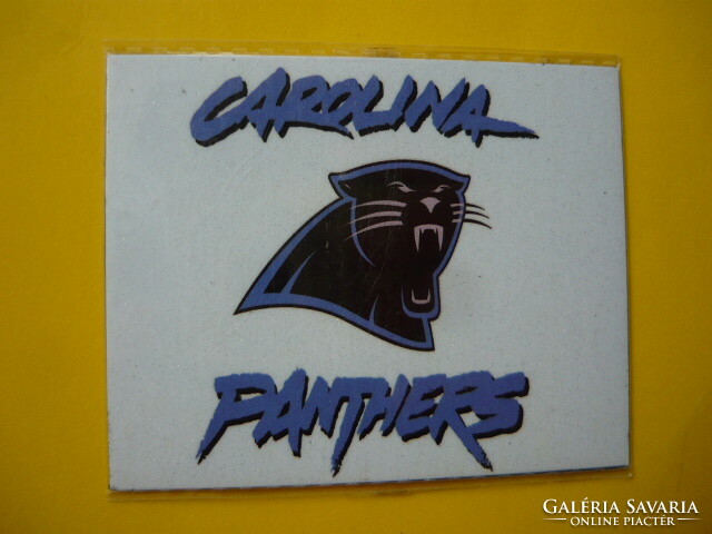 Carolina panthers / nfl fridge magnet