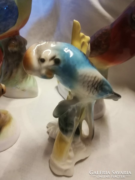 Ceramic parrots + a porcelain