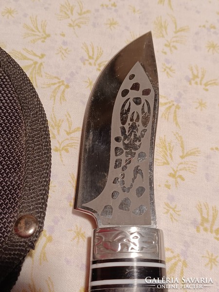 Unique stainless steel dagger with a scorpion pattern in its case