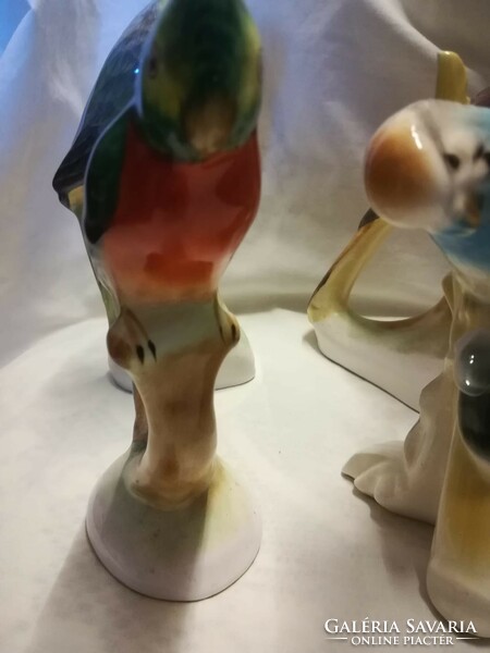 Kerámia papagájok+ egy porcelán