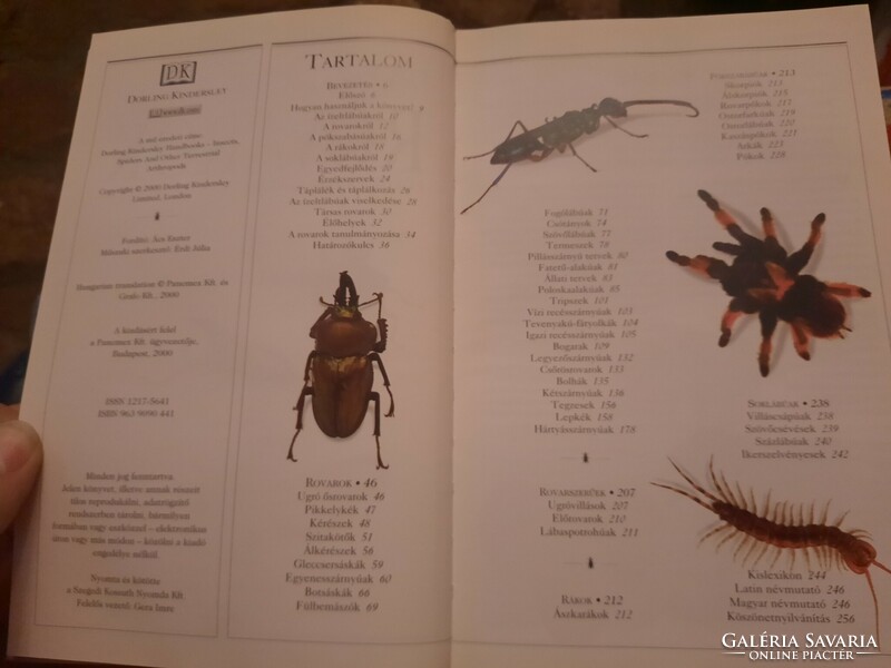 Insects, george c. Mcgavin, determination manuals, negotiable