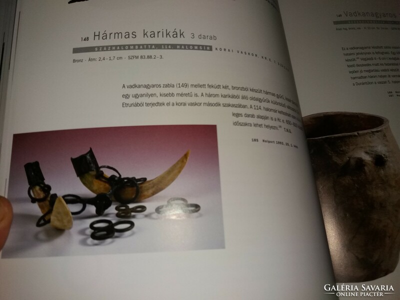 2004.Balpataki Katalin: Százhalombatta története a bronzkortól napjaink képek szerint MATRICA múzeum