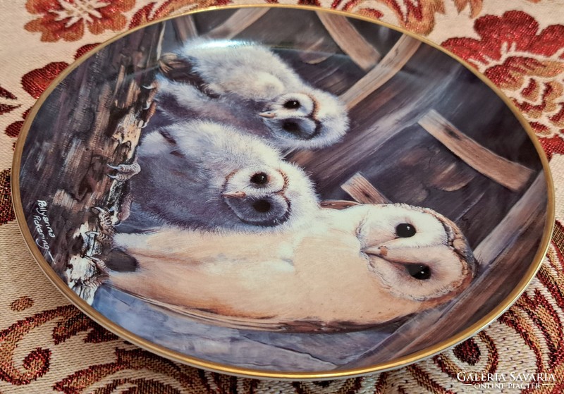 Cat owl porcelain plate, wall plate with birds (l4180)