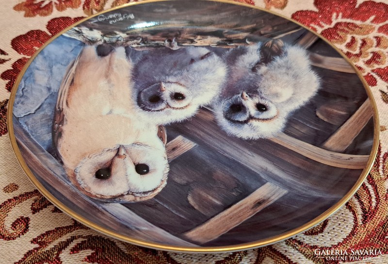 Macskabaglyos porcelán tányér, madaras falitányér (L4180)