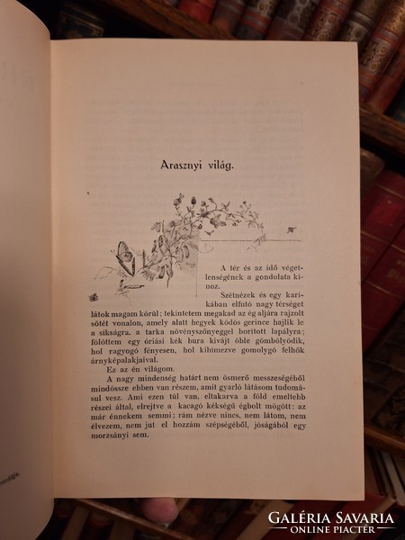 VADÁSZAT! 1922 az ikonikus mű IV. kiadása BÁRSONY ISTVÁN:ERDŐN MEZŐN TERMÉSZETI ÉS VADÁSZATI KÉPEK