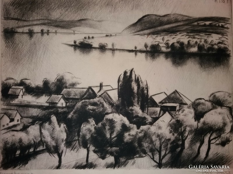An etching by Terézia Kiss of the Danube bend without a frame according to the pictures