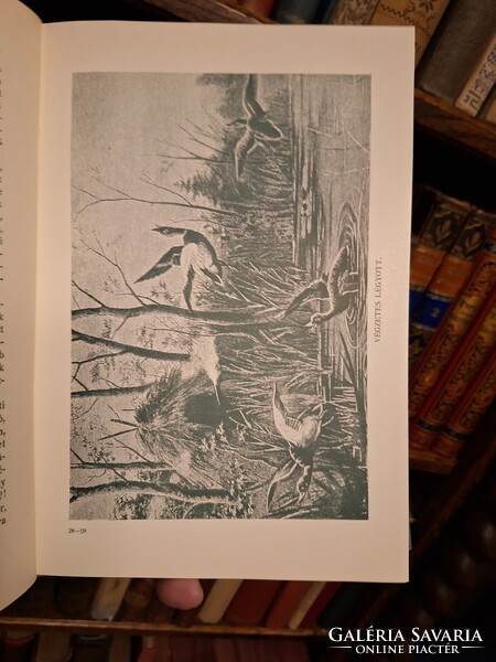 Hunting! 1922 The iconic work iv. Published by István Bársony: nature and hunting pictures in the forest and field