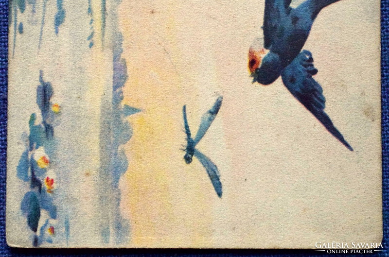 Antik grafikus Klein művész képeslap - fecskék  szitakötő