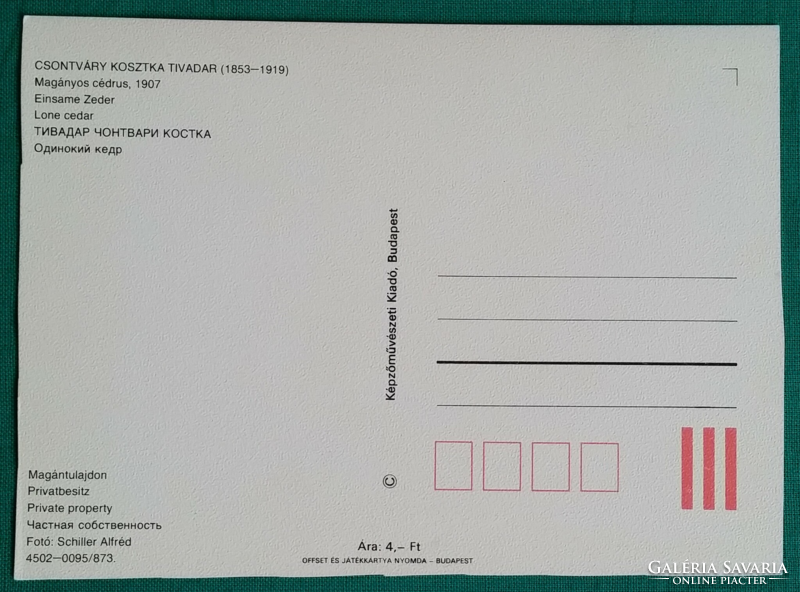 Magányos cédrus festmény után, postatiszta képeslap, 1987, vágott szélű