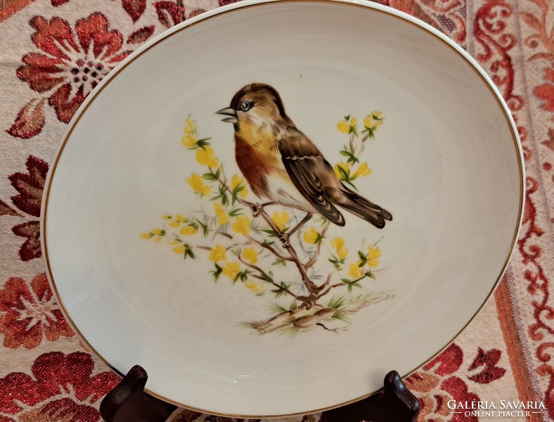 Bird porcelain plate, decorative plate 3 (l4184)