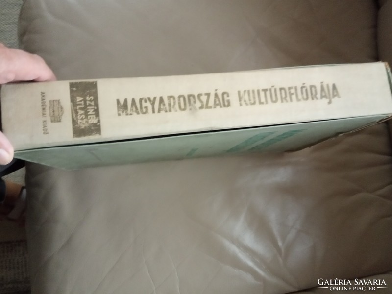 Magyarország kultúrflórája X. kötet színes atlasz 1961Csapody Vera színes illusztrációival