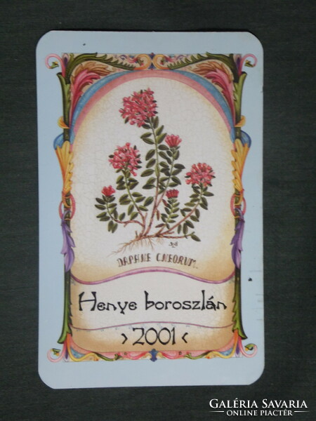 Kártyanaptár, Arany kehely gyógyszertár patika,Pécs,Henye boroszlán virág, 2001