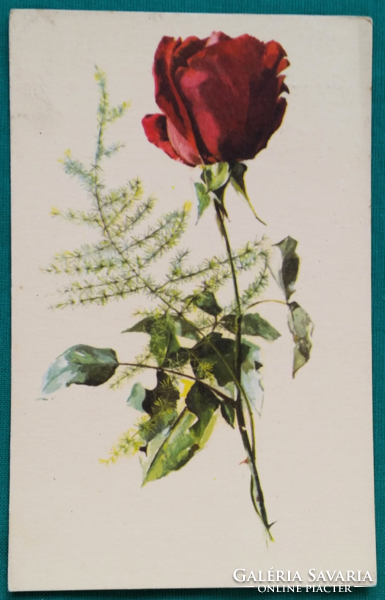 Régi, virágos képeslap, rózsa, rajz: Rozs Endre, futott, 1961