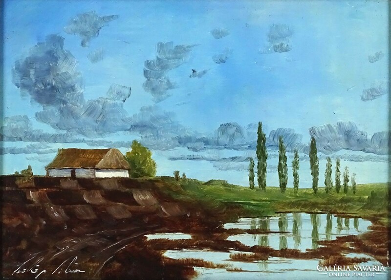 1P204 xx. Century painter: lowland landscape with house
