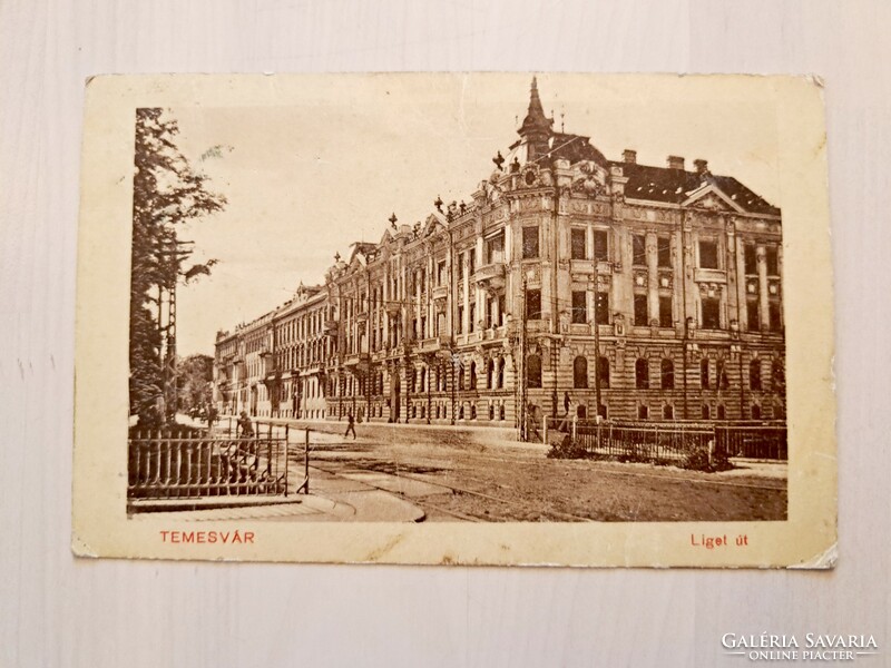 Timisoara, Liget út, 1912, antique, old postcard