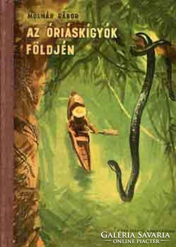 Gábor Molnár in the land of giant snakes