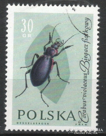 Polish 0251 michel 1278 €0.30