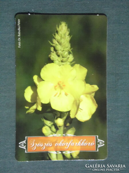 Card calendar, András Jósa, pharmacy, pharmacy, Nyíregyháza, flower, downy oxtail, 2016