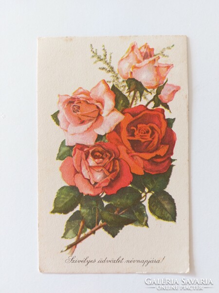 Old postcard roses