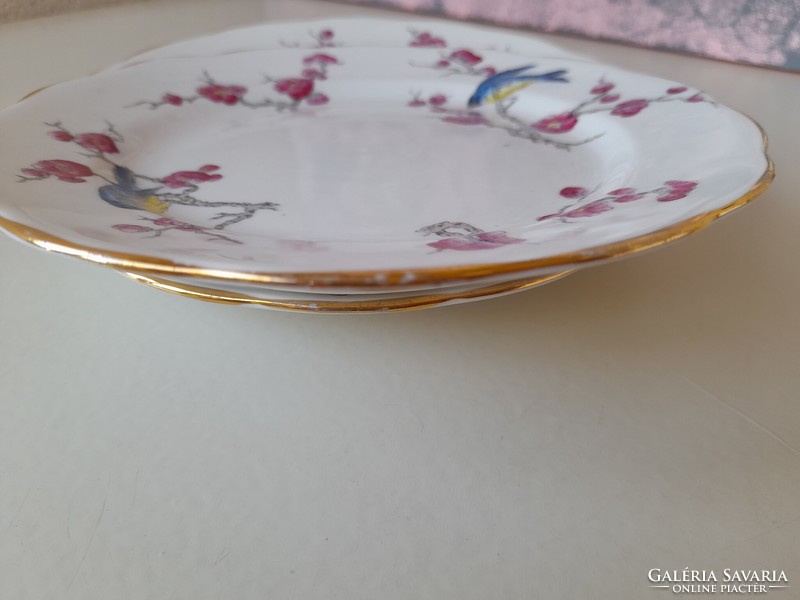 Royal albert blossom small plates