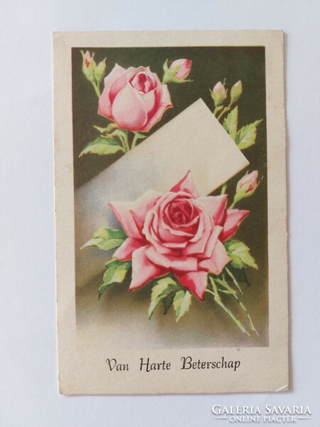 Régi képeslap rózsák 1954