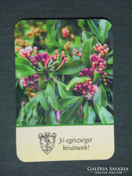 Card calendar, pharmacy, pharmacy, flower, plant, 2019